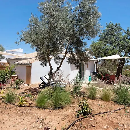 Holiday home Casa Cobra *